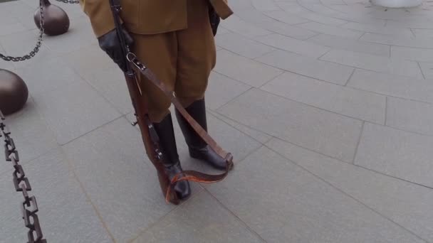 Des Gardes Palais Hongrois Défilent Ensemble Budapest Hongrie — Video