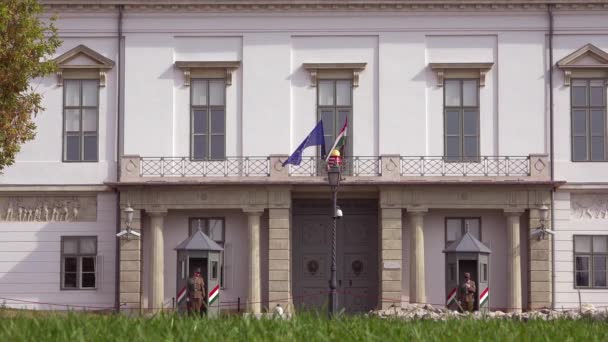 Distintos Disparos Guardias Del Palacio Contra Palacio Real Budapest Hungría — Vídeos de Stock