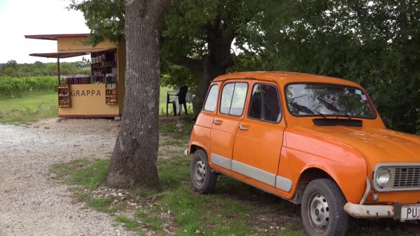 Stand Extérieur Vend Grappa Une Boisson Alcoolisée Long Route Croatie — Video