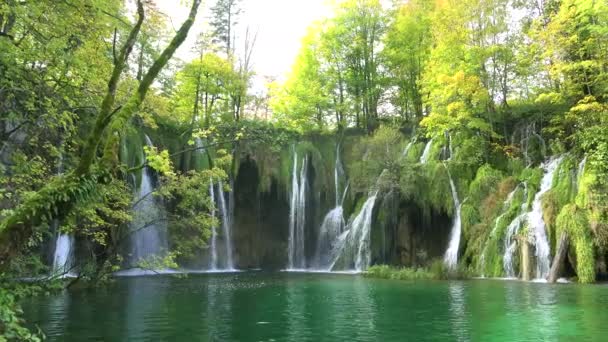 Piękne Wodospady Przepływają Przez Bujną Zieloną Dżunglę Parku Narodowym Plitwice — Wideo stockowe