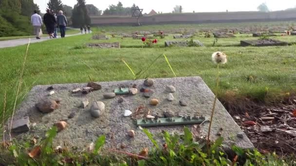 Steine Auf Den Gräbern Einer Gedenkstätte Auf Dem Jüdischen Friedhof — Stockvideo