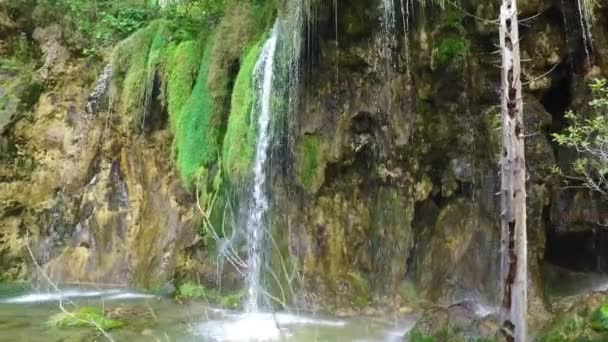 クロアチアのプリトヴィツェ国立公園の緑豊かなジャングルを流れる美しい滝 — ストック動画
