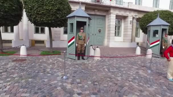 Penjaga Istana Hungaria Berdiri Budapest Hungaria — Stok Video