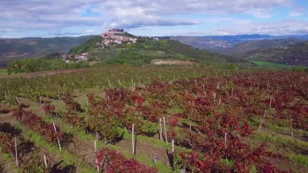 Gorgeous Aerial Small Croatian Italian Hill Town Village Vineyards Foreground — Stock Video