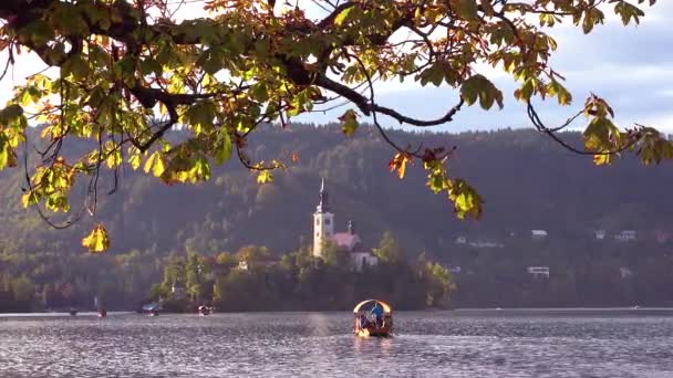 슬로베니아의 브레드 호수에서 노젓는 배들이 받으며 섬으로 향한다 — 비디오