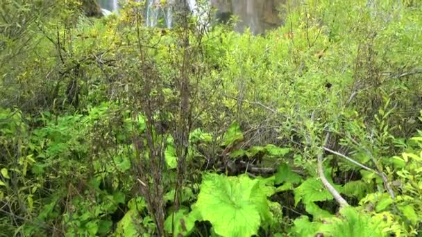 Gebouwd Tot Een Prachtige Waterval Nationaal Park Plitvice Kroatië — Stockvideo