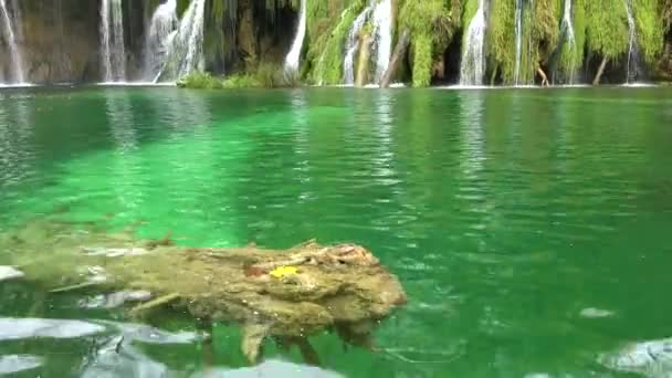 Incline Piscina Verde Para Bela Cachoeira Parque Nacional Plitvice Croácia — Vídeo de Stock