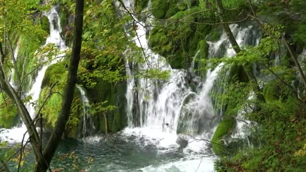 Todo Parque Nacional Plitvice Croacia Encuentran Hermosas Cascadas — Vídeos de Stock