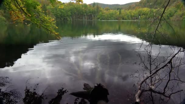 Mrtvý Strom Leží Dně Jezera Národním Parku Plitvice Chorvatsku — Stock video