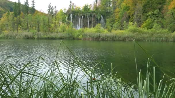 Všude Národním Parku Plitvice Chorvatsku Nacházejí Krásné Vodopády — Stock video