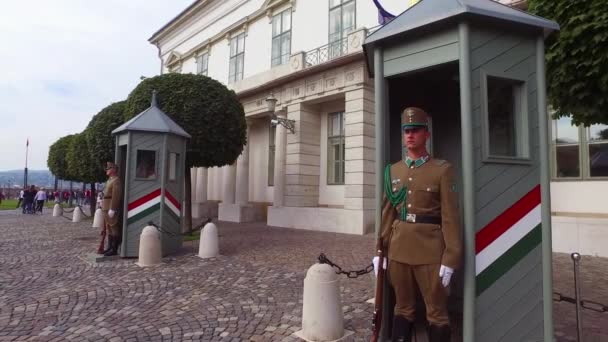 Maďarská Palácová Stráž Stojí Pozoru Budapešti Maďarsko — Stock video