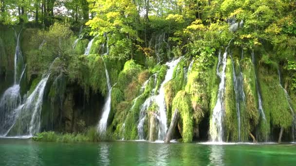 Hermosas Cascadas Fluyen Través Exuberante Selva Verde Parque Nacional Plitvice — Vídeo de stock