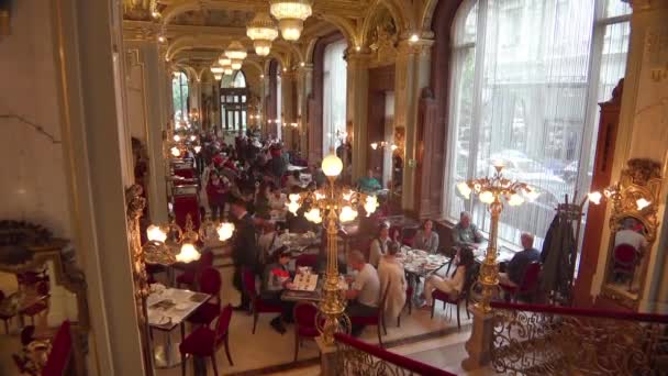 Imagen Interior Elegante Elegante Nueva York Budapest Hungría — Vídeo de stock