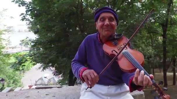 Ein Bunter Alter Zigeuner Spielt Geige Einem Park Budapest Ungarn — Stockvideo