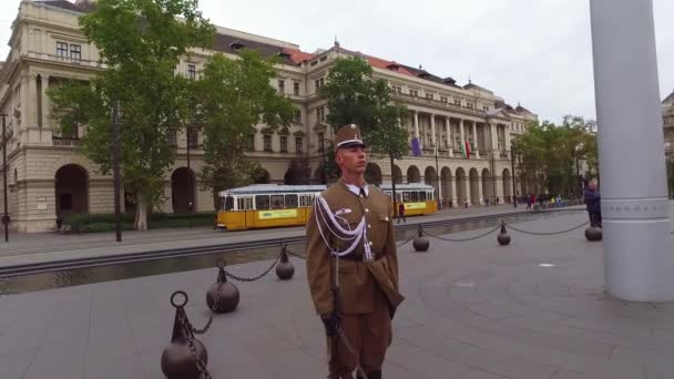 Garde Palais Hongrois Tient Attention Budapest Hongrie — Video