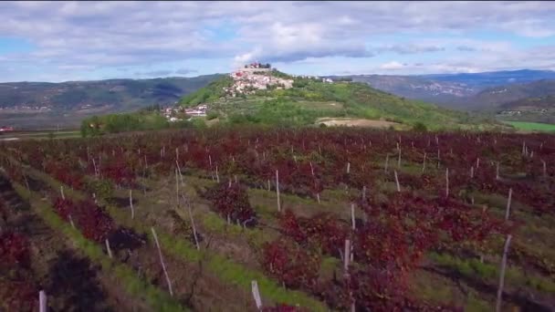 Gorgeous Aerial Small Croatian Italian Hill Town Village Vineyards Foreground — Stock Video