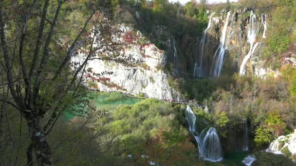 Gyönyörű Vízesések Folynak Keresztül Buja Zöld Dzsungelben Plitvicei Nemzeti Park — Stock videók