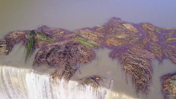 Ojai California Yakınlarındaki Sel Baskınında Yüksek Bir Şelale Baraj Üzerinde — Stok video