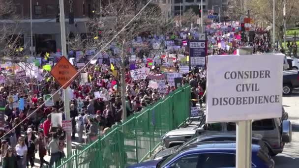Hundratusentals Marscherar För Att Protestera Mot Donald Trumps President Centrala — Stockvideo