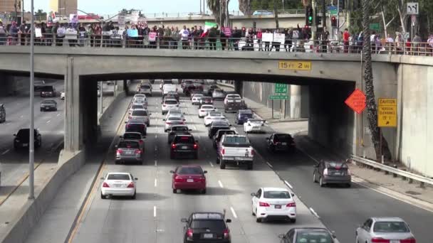 Protestujący Przeciwko Donaldowi Trumpowi Stoją Wiadukcie Los Angeles — Wideo stockowe