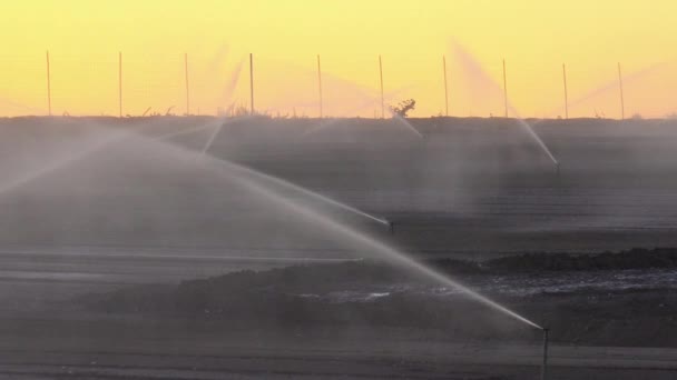 Sproeiers Water Een Droog Veld Californië Tijdens Een Droogte — Stockvideo