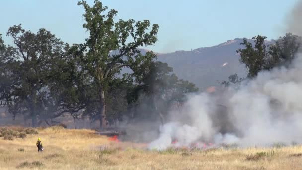 Μια Πυρκαγιά Καίει Στους Λόφους Της Κεντρικής Καλιφόρνιας Καθώς Πυροσβέστες — Αρχείο Βίντεο
