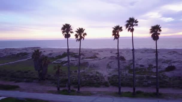 美丽的空中穿越棕榈树揭示了加州海滩的景象 — 图库视频影像
