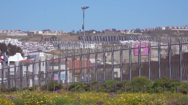 野生の花とサンディエゴの近くのティフアナ国境の壁フェンスのショットを確立 — ストック動画