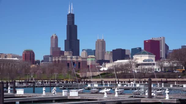 Leerer Hafen Mit Bootsanlegestellen Und Chicago Illinois Hintergrund — Stockvideo