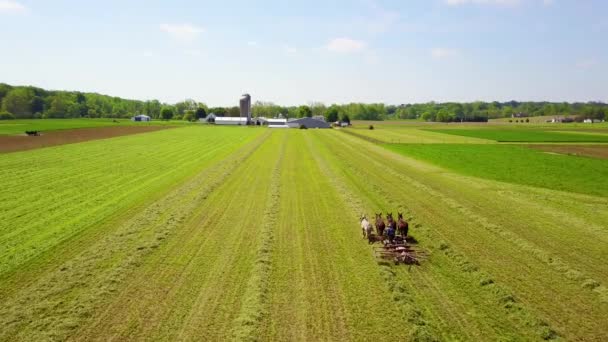 Uma Incrível Antena Agricultores Amish Cuidando Seus Campos Com Cavalo — Vídeo de Stock