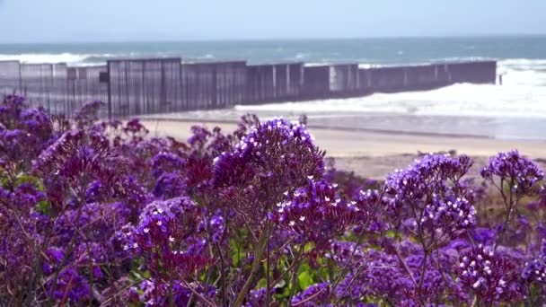 Las Aves Lanzan Playa Valla Fronteriza México Estados Unidos Océano — Vídeos de Stock