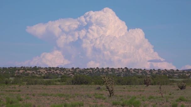 美丽的雷电交加的城墙和风暴云彩穿越新墨西哥沙漠的时间流逝 — 图库视频影像
