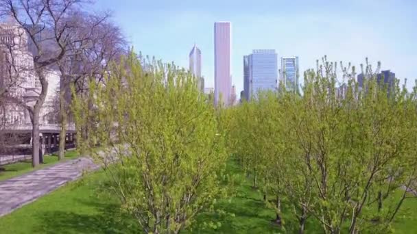 芝加哥市中心的一个上升的镜头揭示了城市的天际线 — 图库视频影像