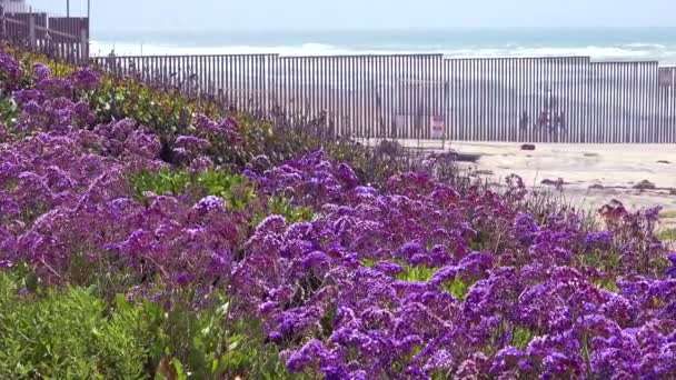 波はサンディエゴとティフアナの間の太平洋の米国メキシコ国境フェンスでビーチに入ります — ストック動画