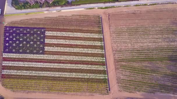 Aerial Shot Giant American Flag Made Flowers — Stock Video