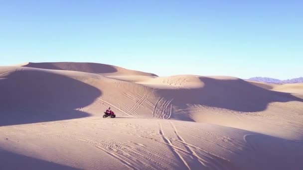 Dune Buggy Atv Corrono Attraverso Dune Sabbia Imperiali California — Video Stock