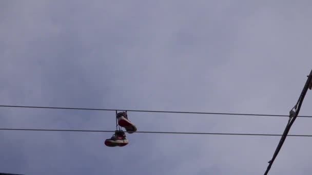 Ângulo Baixo Agradável Tênis Sapatos Uma Linha Como Avião Fedex — Vídeo de Stock