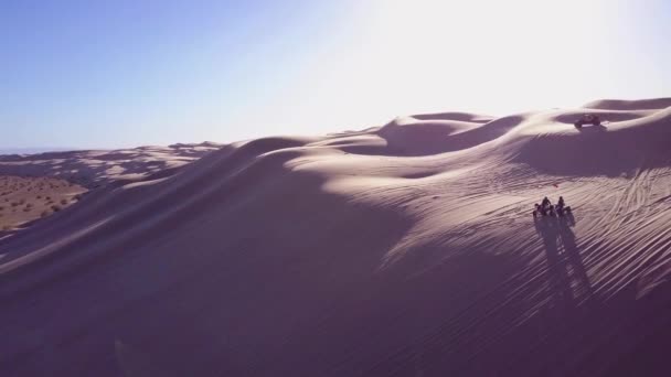 Duna Buggies Atvs Corrida Através Das Dunas Areia Imperiais Califórnia — Vídeo de Stock