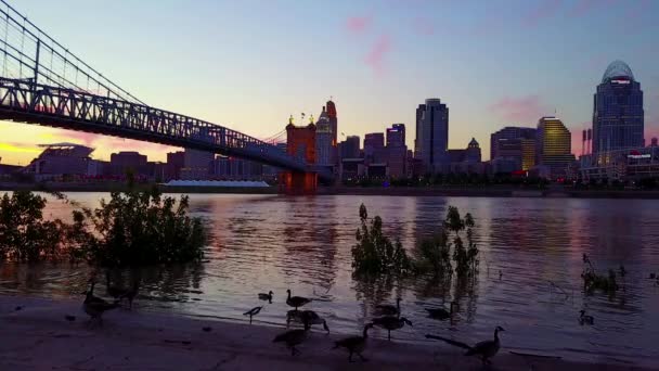 Egy Gyönyörű Esti Légi Felvétel Cincinnati Ohióról Híddal Ohio Folyó — Stock videók