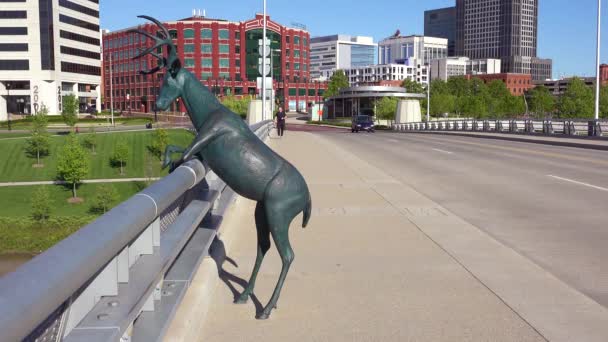 Una Scultura Cervi Domina Columbus Ohio Ponte — Video Stock
