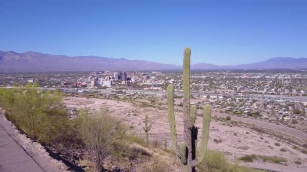 Strzał Powietrza Obok Kaktusa Tucson Arizona — Wideo stockowe