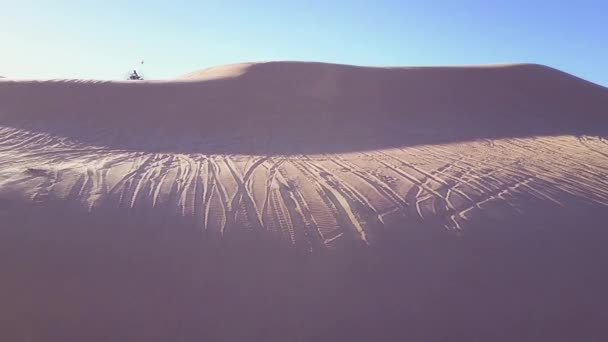 Buggies Dunas Vehículos Todo Terreno Corren Por Las Dunas Imperiales — Vídeos de Stock