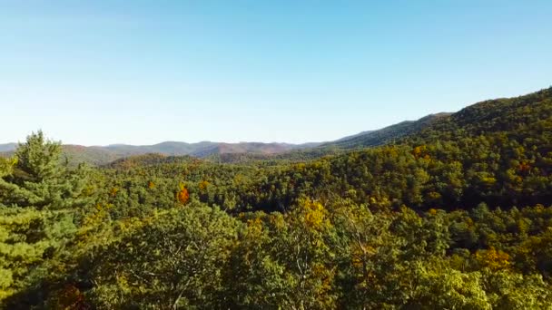 Aereo Sulle Foreste Appalachia Nelle Blue Ridge Mountains Della Virginia — Video Stock