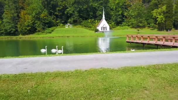 Aéreo Sobre Cisnes Lago Frente Uma Igreja Pequena Romântica Bonita — Vídeo de Stock