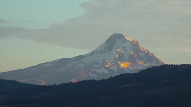 Luce Del Tramonto Sul Monte Hood Vicino Fiume Hood Oregon — Video Stock