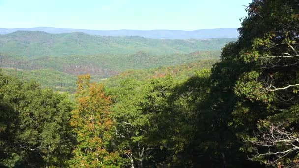 Vue Panoramique Sur Les Forêts Des Montagnes Blue Ridge Virginie — Video