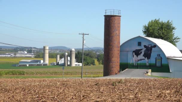 納屋に大きな牛を描いた酪農場のショットを確立する — ストック動画