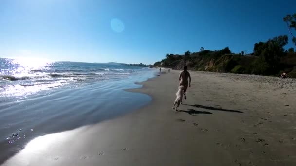 Uma Menina Corre Com Seu Cão Praia Câmera Lenta — Vídeo de Stock