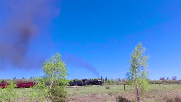 Трейлер Паровоза Cumbres Toltec Движущегося Через Горы Колорадо Недалеко Города — стоковое видео
