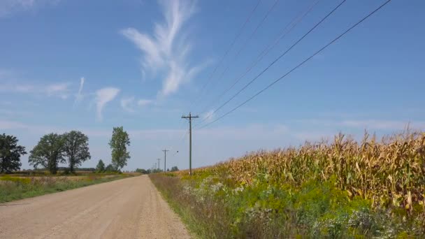 Champs Maïs Ruraux Chemin Terre Mène Campagne Agricole Midwest — Video